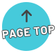 PAGE TOP